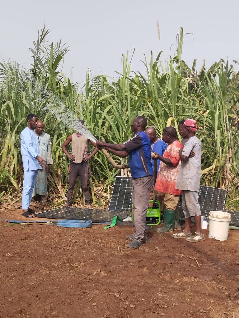 Solar irrigation system in action